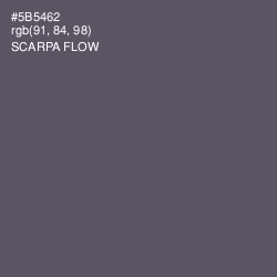 #5B5462 - Scarpa Flow Color Image